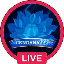 Download cendana777 APK Terbaru Full Version dan winallcasino: Rangkuman Brand yang Banyak Dicari